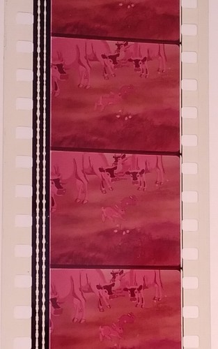35mm Feature Film – Watership Down 1978 - Foto 2 di 11
