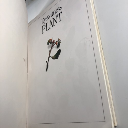 DK Eyewitness Plant & Roack And Mineral Set Bundle Lot Paperback Education Books - Picture 7 of 16