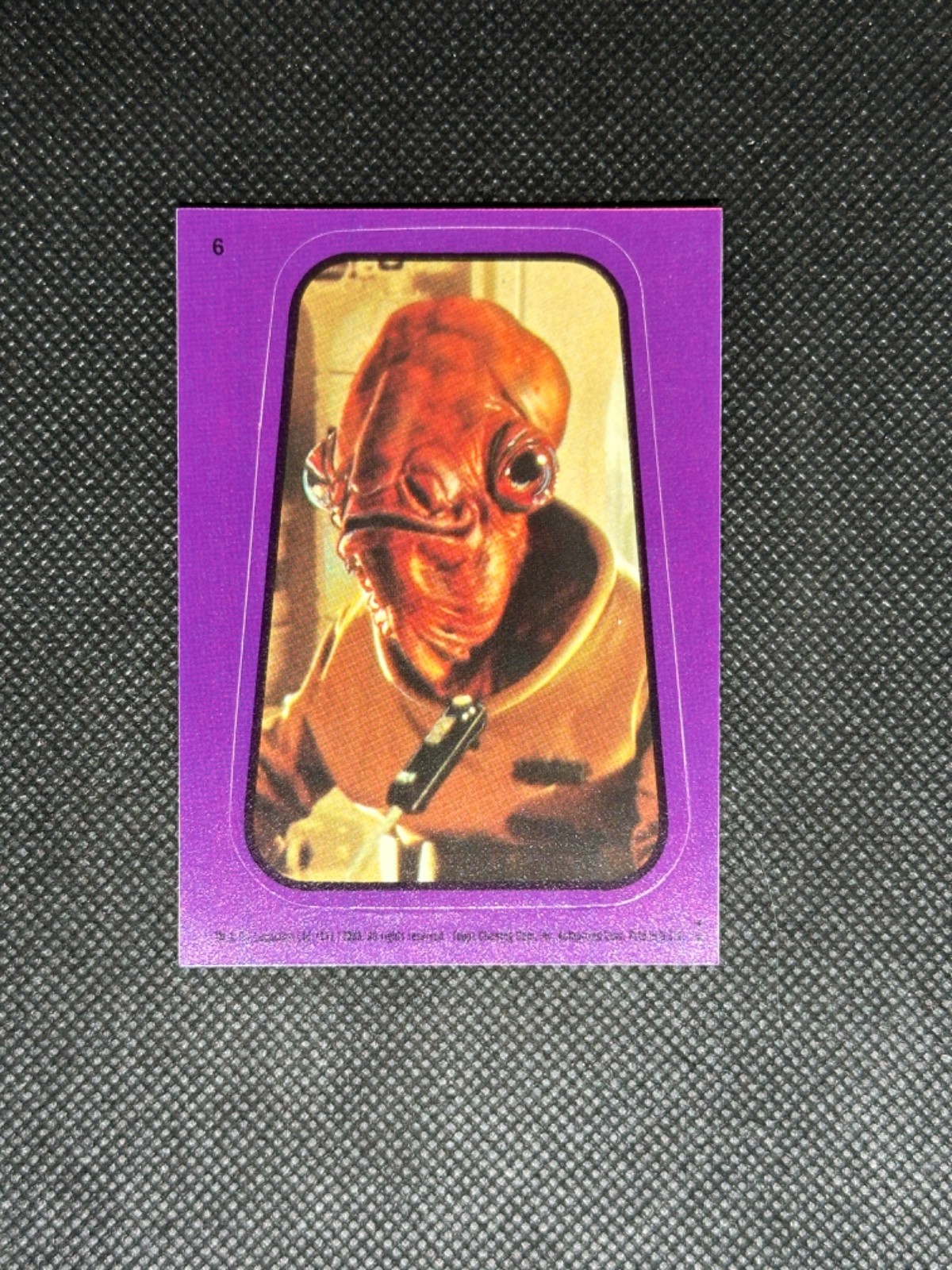 Picture 39 of 262
