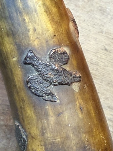 19th Century 1800s Pre Civil War Era Large Powder Horn Raised Engraving - Afbeelding 16 van 22