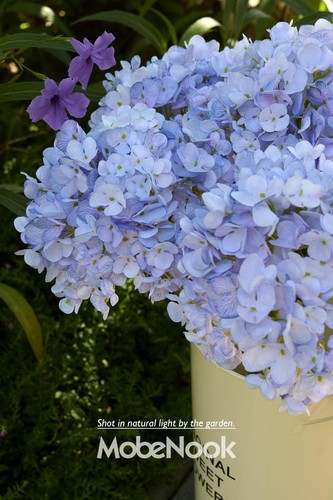 Hydrangea Artificial Flowers, Gradient Color 2PCS Fake Real Touch Large Faux ... - Foto 7 di 7