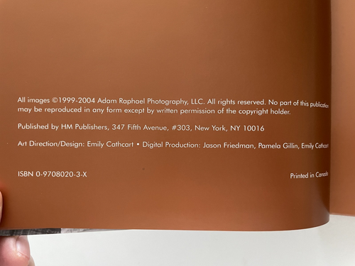 Adam Raphael FRIENDS AND BROTHERS - OOP 2004 HM Pub HC -gay interest photography - Picture 9 of 16