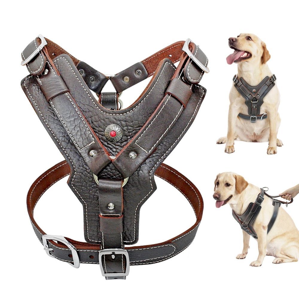 Large Harness Dogs Leather Gladiator Durable Adjustable Quick Release Big Vest Large Harness Dogs Leather Gladiator Durable Adjustable Quick Release Big Vest