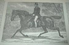 c1900 Antique Print MOVEMENT IN TROTTING Horse