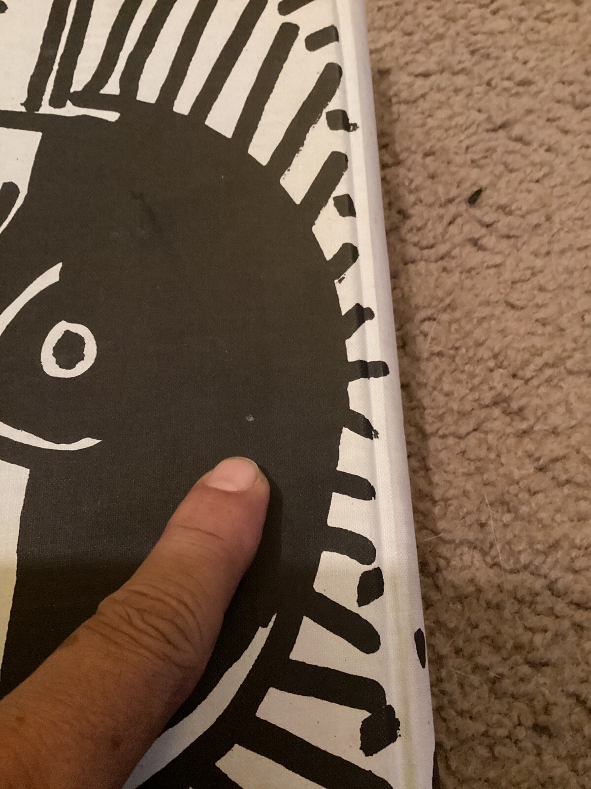 Picture 7 of 20