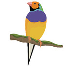 The Fickle Finch
