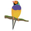 The Fickle Finch