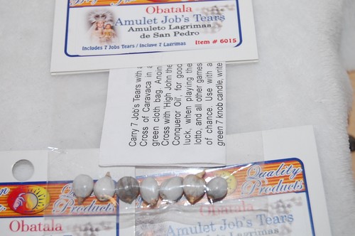 Jobs Tears (7) Obatala Amulet Santeria, Voodoo Hoodoo Wicca Pagan Witchcraft - Picture 4 of 5