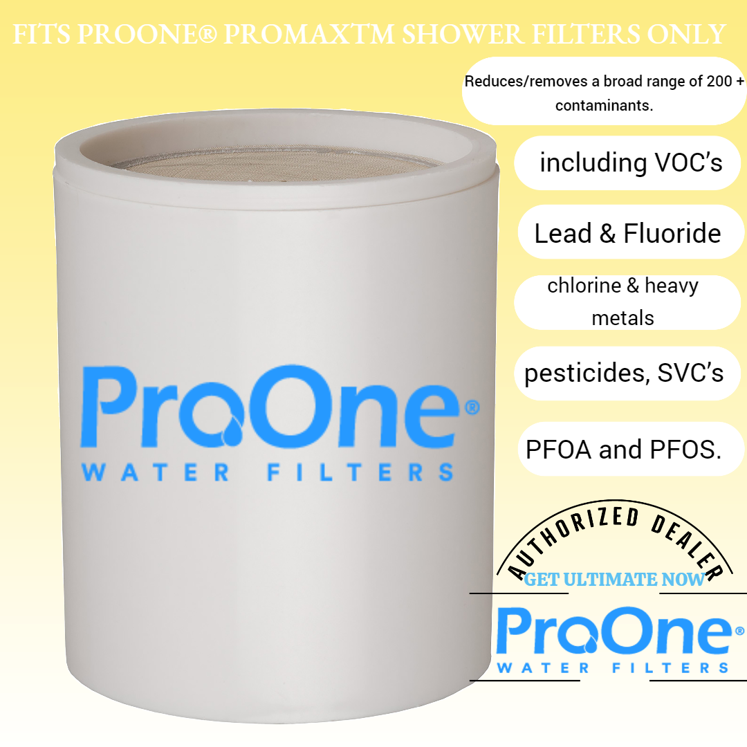 ProOne ProMax Replacement Shower Filter Cartridge eBay