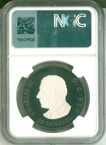 2025 S$20 Canada Elegant Maple Leaf Rhodium Plated FR NGC PF69 Matte Box COA OGP - Picture 2 of 6
