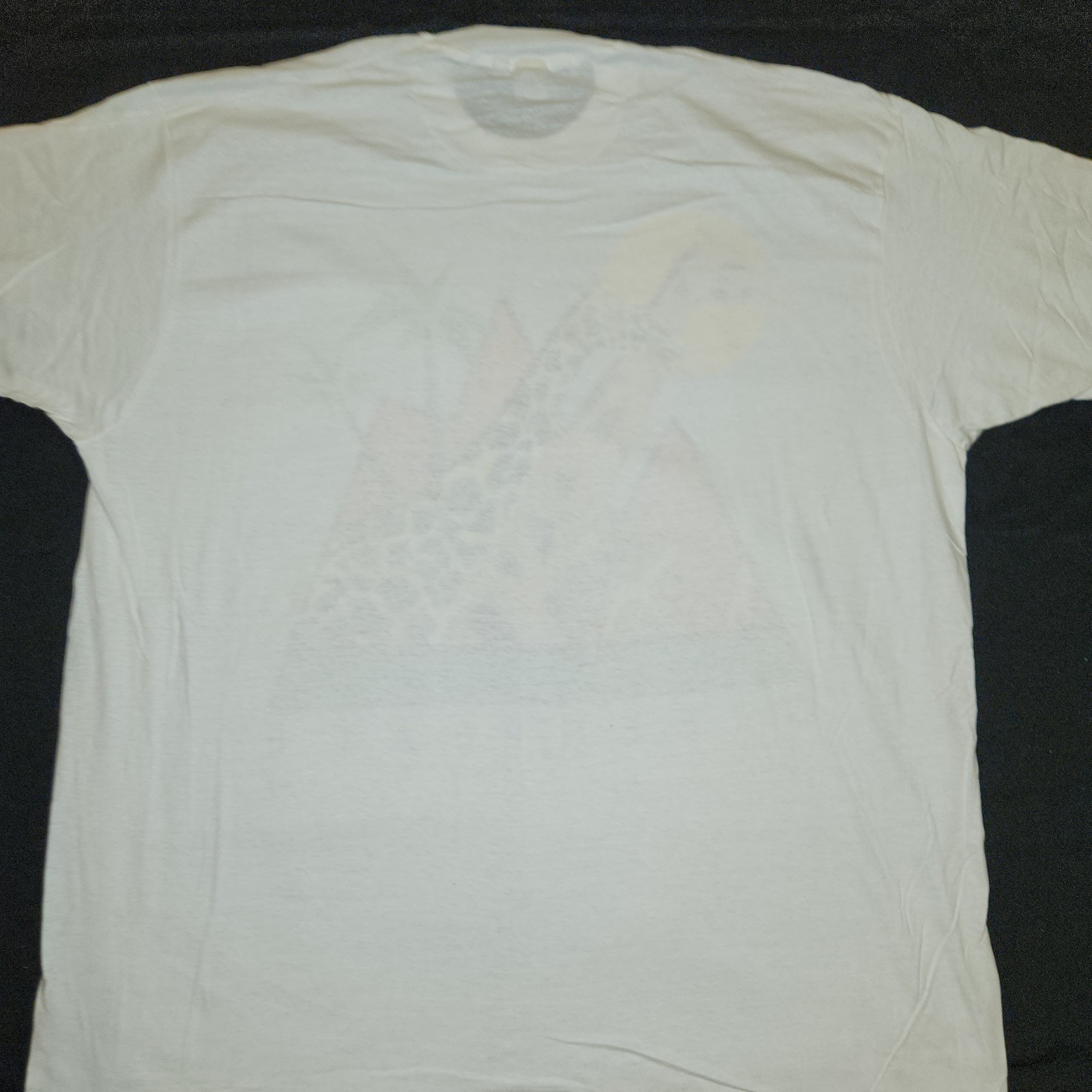 Picture 16 of 17