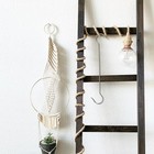 10 Pcs Hanger Hook Hanging Plants Bracket Metal Hooks Heavy Duty