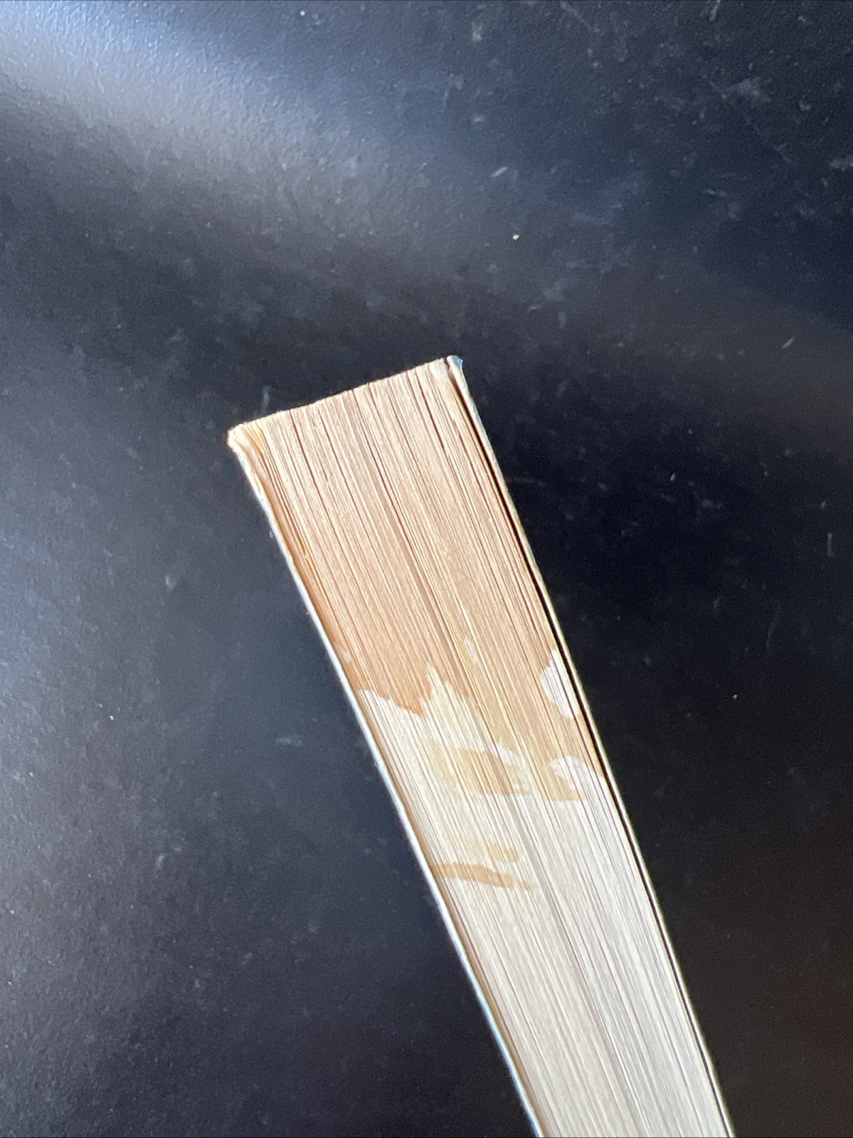 Picture 6 of 12