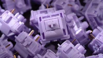 Wuque POM Linear Switches - 50g (10er Pack) für individuelle mechanische Tastaturen