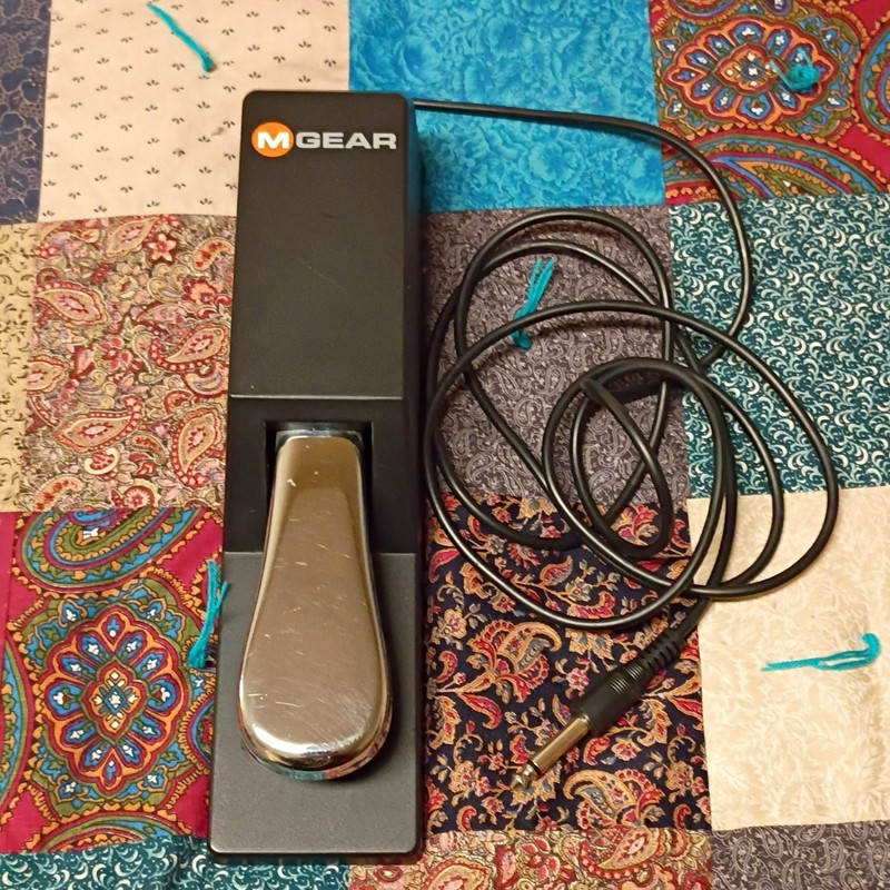 M-Audio SP-2 Sustain Damper Pedal for Electronic Keyboard, Black Plastic