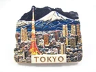Tokyo Japan Poly Magnet Souvenir Tokyo Fuji Mountain Skyline (te61)