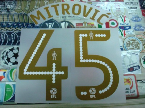 OFFICIAL NEWCASTLE UNITED FC HOME EFC 2016-17 PLAYER SIZED PRINT - Picture 7 of 18