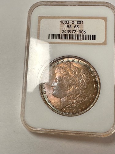1883-O MORGAN $ /BEAUTIFUL FULLY TONED / COLLECTOR'S BIG FATTY HOLDER / NGC MS63 - Picture 4 of 6