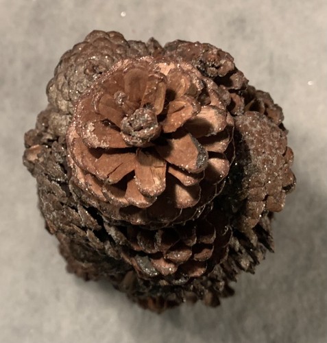 Table Top 11.75” Natural Brown PINE CONE TREE: Christmas Holiday Decor • Flocked - Picture 2 of 13