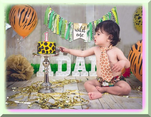 Jungle Safari Wild One 1st Birthday High Chair Banner Set - Tropical Party Decor - Picture 4 of 7