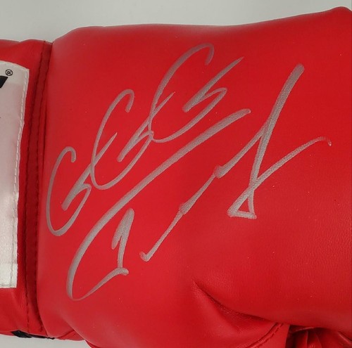 Gennady Golovkin GGG + David Lemieux signed Boxing Glove ~ Beckett BAS Holo - Picture 2 of 4