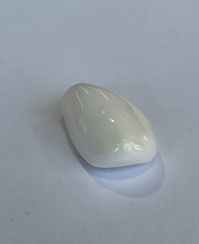  Natural Saltwater Conch Pearl From The Caribbean 21 Carats Rare White Color - Picture 9 of 14