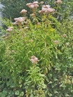 Bild 3 von 5