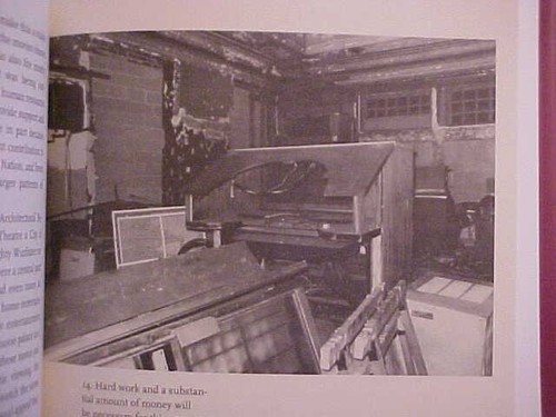 The Southern Movie Palace: Rise, Fall, and Resurrection by Janna Jones - Picture 2 of 3