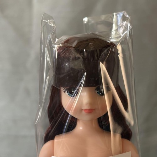 LICCA CASTLE Fashiondoll M5057 8,66 Zoll/22 cm LICCA Freundin KIRA OOAK Fun Doll 1/6 - Bild 2 von 6