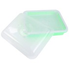 Resin Tray with Lid for Germination Growing