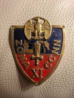 Scudetto da Braccio CCNN XI