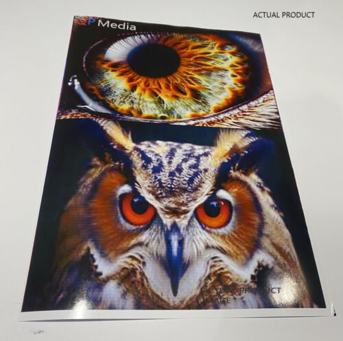 A4 Premium White Gloss Inkjet Printable Photo Self Adhesive Sticker Label Paper - Picture 3 of 16