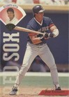 1995 Leaf - Jose Canseco #391