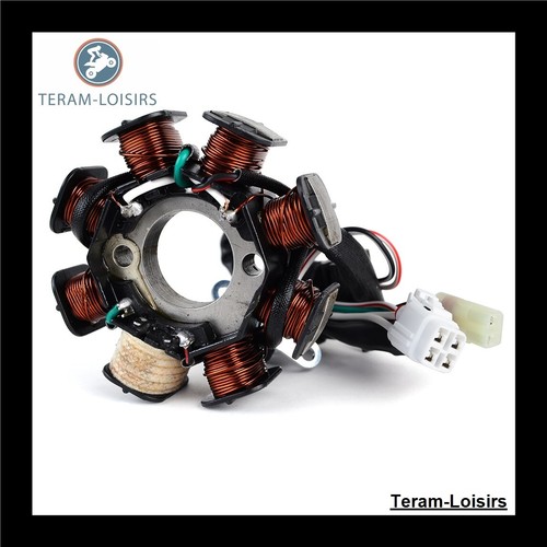 Stator Allumage pour Yamaha YFM 90 R RAPTOR de 2009 2010 2011 2012 2013 - Photo 6/8