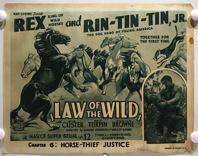 ORIGINAL SERIAL LOBBY CARD - LAW OF THE WILD - 1934 - ft Rex and Rin ...
