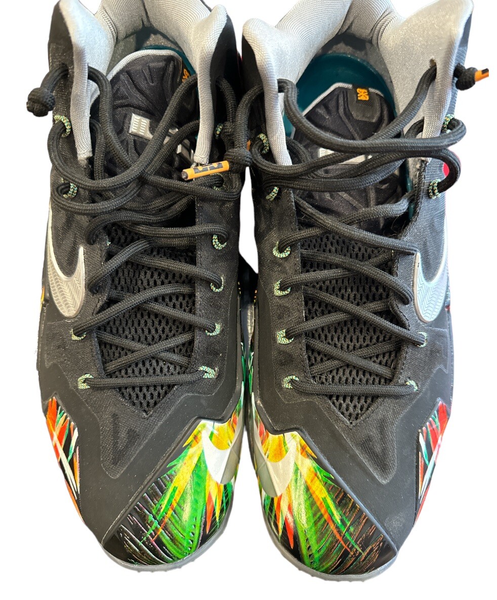 Nike LeBron II Everglades 2014 Mens Size 13 (616175-006) Shoes Nike LeBron 11  main image 2