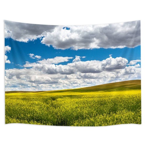 Sky Cloud Green Plants Extra Large Tapestry Wall Hanging Nature Background - Picture 3 of 7