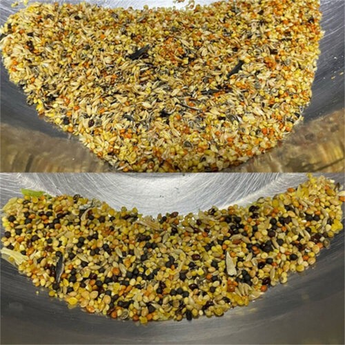 AC100-240V Household Grain Cleaning Winnower Grain Thrower Screening Machine - Imagen 6 de 13