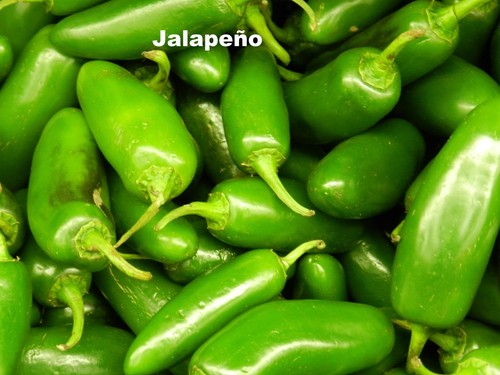 Seed- Mexican Beloved Hot Peppers Guajillo Poblano- (Chile Ancho) Jalapeno - Foto 24 di 26