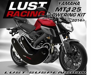 LUST RACING Yamaha FJR1300 AE E Lowering Kit 2014 2015 2016 2017 2018 Links 30mm