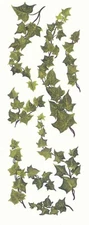 IVY DRY RUB WALL DECOR HAND PAINTED WALL ART TRANSFER