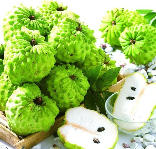  Reines Graviola (Soursop) Fruchtpulver, 100% natura, Annona Muricata Guanabana - Bild 8 von 9