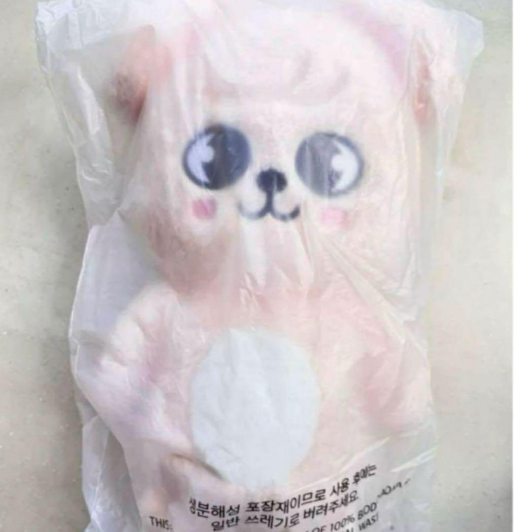 Stray Kids SKZOO Puppym Muñeca de Peluche Oficial H 60cm Teddy Ver 5’clock NUEVO