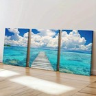 3pcs Australian Palm Beach Sea, White Clouds Wall Art Canvas Framed 50x70cm
