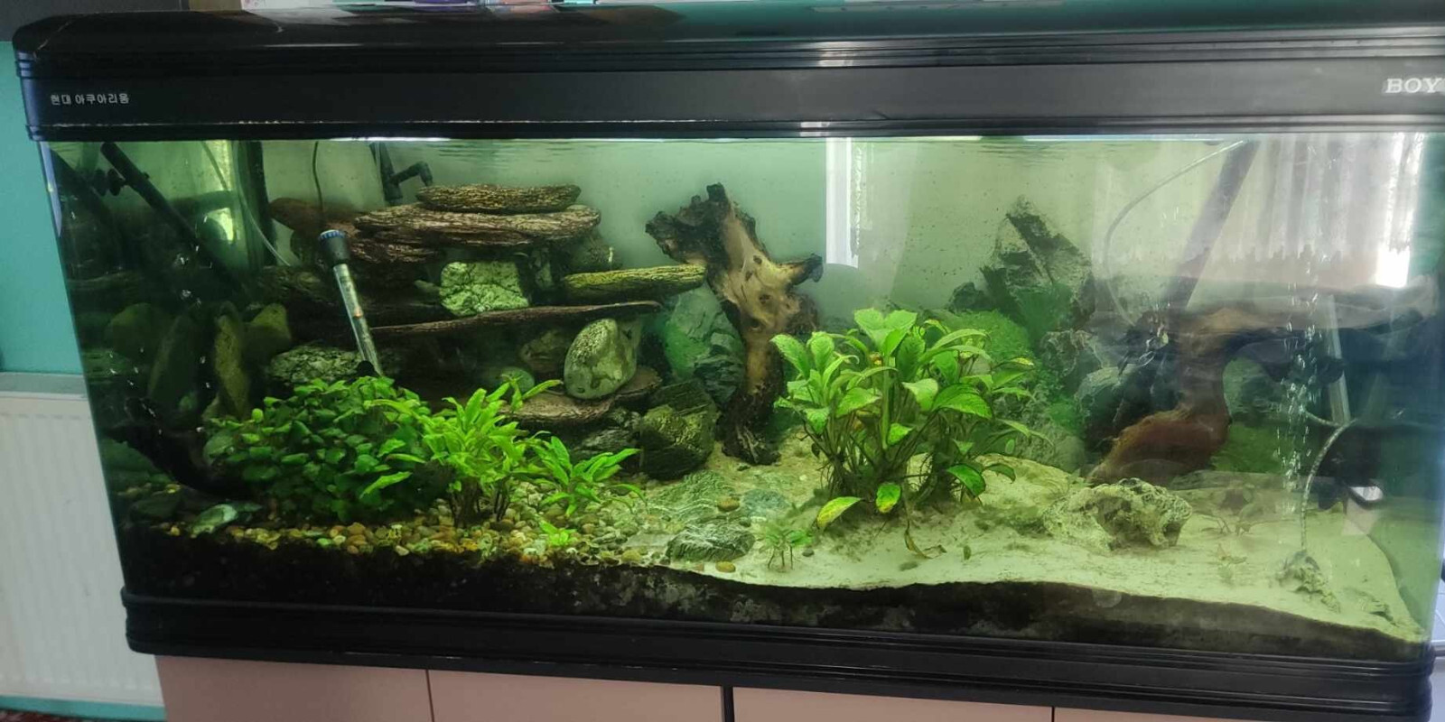 Picture 2 of 10