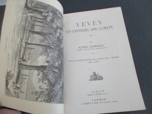 Alfred Ceresole VEVEY, Switzerland, Its Environs & Climate, Illustrated Ca 1890 - Foto 3 di 8