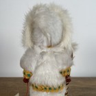 Picture 5 of 16