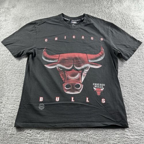 Chicago Bulls T Shirt Mens Large Black Red Big Graphic NBA Jordan Basketball