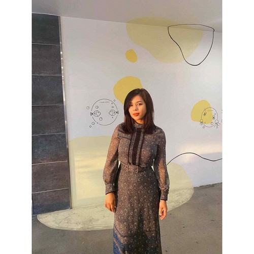 ZARA Blogger's Favorite High Collar Print Dress Small NWT - Picture 5 of 12