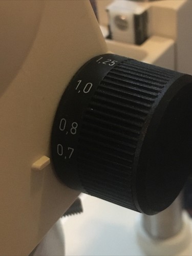Microscopio Zeiss Stemi 1000 Stereozoom 7-35x W10x/21 piezas de ojo soporte luz LED - Imagen 16 de 23